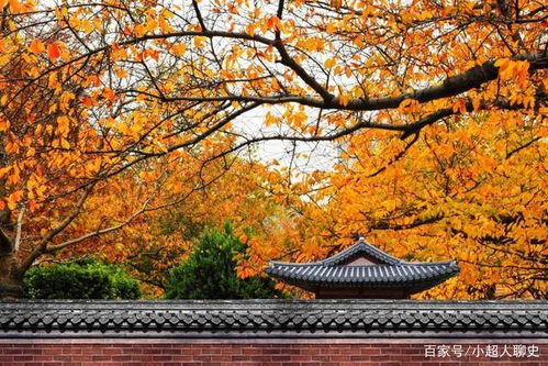 秋千院落夜沉沉地上一句是什么