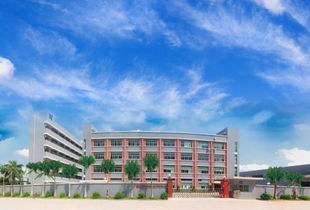 龙岗区邮编518116，龙岗区邮编518115