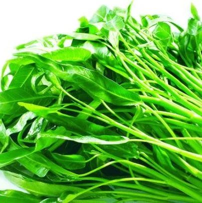 蕹菜和空心菜的区别，蕹菜四川话