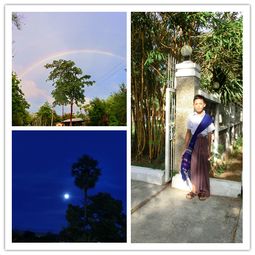 天公地道是什么生肖，天公地道白酒多少钱