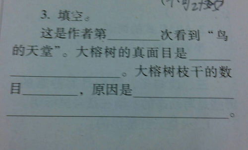 蓬组词 篷组词 谢谢