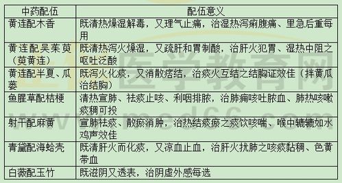 配伍是什么意思