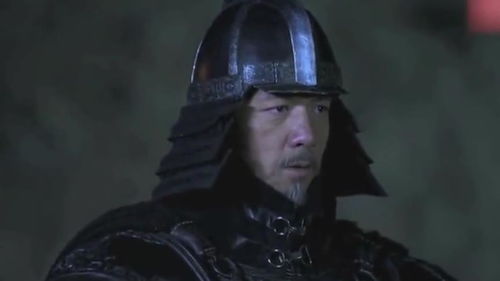 武安君白起简介，武安君白起重生