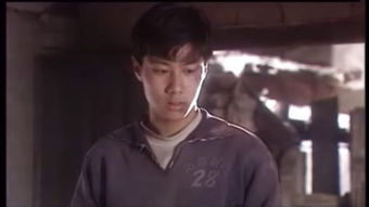 帮别人顶罪有什么后果