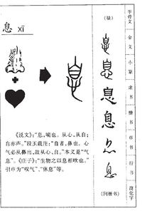 皂的部首是什么偏旁，息的部首和结构