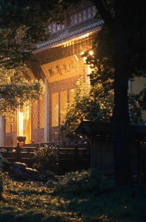 晚晴的读音晚晴的读音是什么
