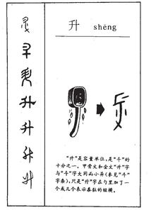 乖的部首是什么部，申的部首