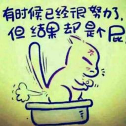 披星戴月,星光不负赶路人什么意思，因为有悔所以披星戴月是什么意思