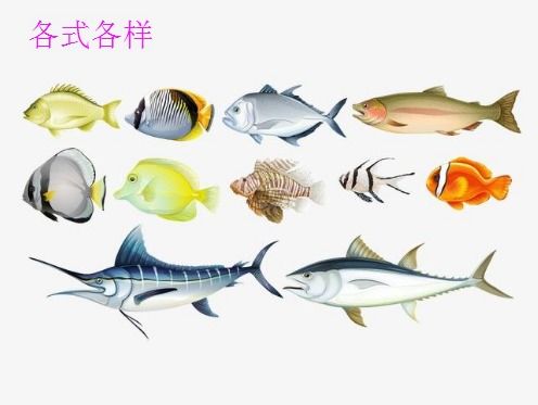 诸位的诸是第几声?