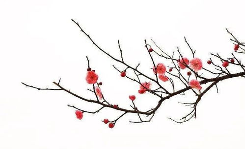 诚斋体的特点