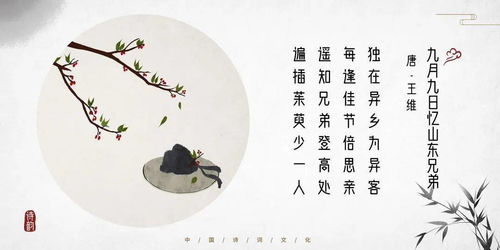 怔怎么读音是什么