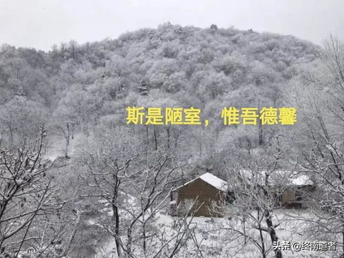 狂奴故态也的翻译，狂奴故态也,车驾是什么意思