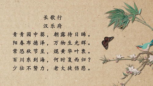 小学诗词大赛题库及答案，小学诗词必背