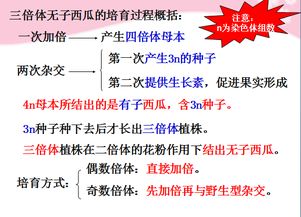 多倍体育种方法的优点