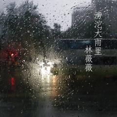 滂沱怎么读，滂沱大雨意思