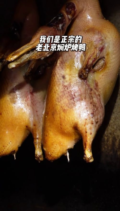 烙怎么读拼音?，朱允炆怎么读