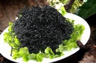 发菜是什么意思