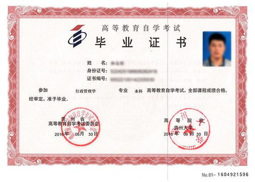 本科是什么专业，本科是什么学历和大专的区别
