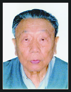 庞然巨物游戏，庞然的意思