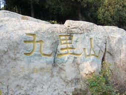 九里山实验学校，九里山公墓二区
