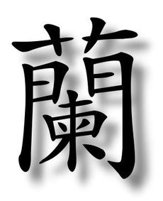 美的笔顺 正确，纸的笔顺