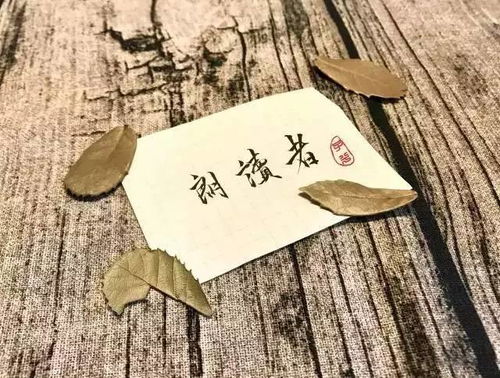 丑奴儿书博山道中壁原文及翻译