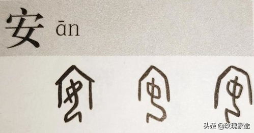 视其所以遵循什么原则，视其所以观其所由察其所安人焉廋哉是什么意思