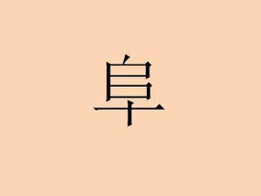 什么民安四字词语，民安物阜的拼音