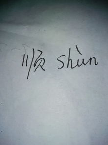 顺字的拼音