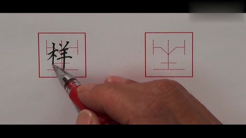 样字笔顺怎么写