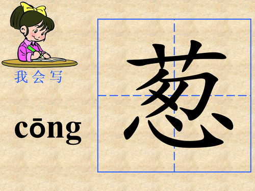 众组词有哪些呢