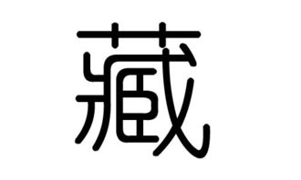 藏字组词，藏字成语