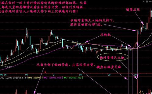 顶天立地什么意思?
