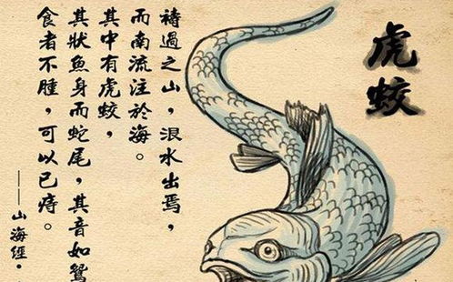 猰貐窫窳怎么读，饕餮耄耋怎么读