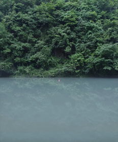 楚水的介绍