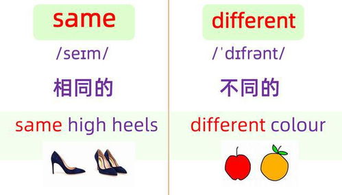 和睦的同义词和反义词
