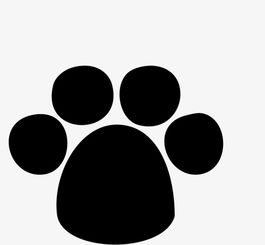 春天和我们躲猫猫小狗的脚印像什么，小狗的脚印像什么形状怎么画