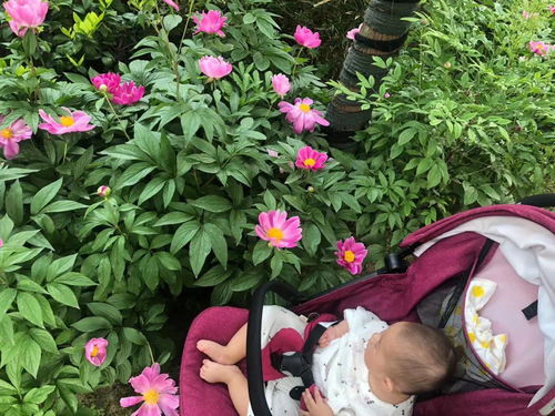 人比花娇是什么意思