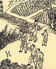 忘帝力的拼音狐忘帝力的拼音是什么