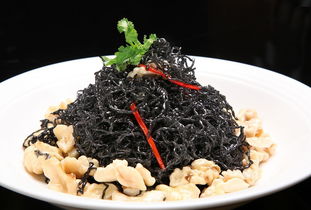 发菜是什么菜是紫菜吗，发菜是什么菜做的