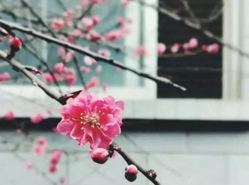 <<长恨歌>>全诗