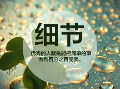 细节是什么意思解释，消失的她的细节是什么
