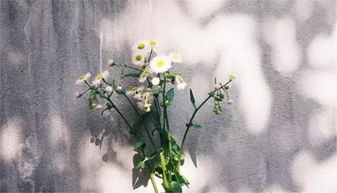 自怜自艾的读音