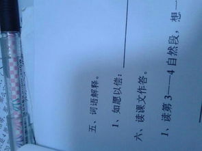 得偿所愿是什么意思，三分野如愿以偿是什么意思