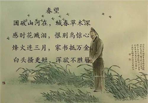 春望原文及翻译
