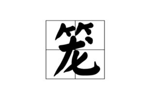 笼组词组