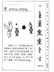 重装上阵的“重”怎么读,什么解释