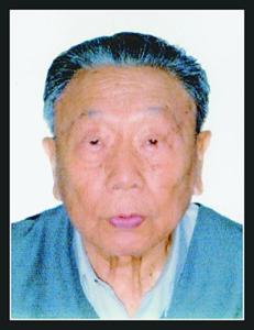 庞然大物的意思是什么