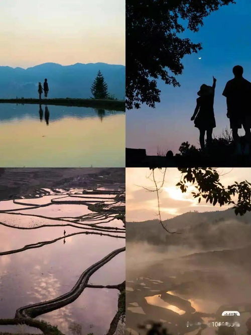 恬静的意思怎么解释，慵懒恬静的意思