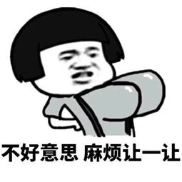 麻烦的意思有几个，不怕麻烦的意思